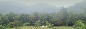 Image of Malayan Jungle and The Cross of Sacrifice